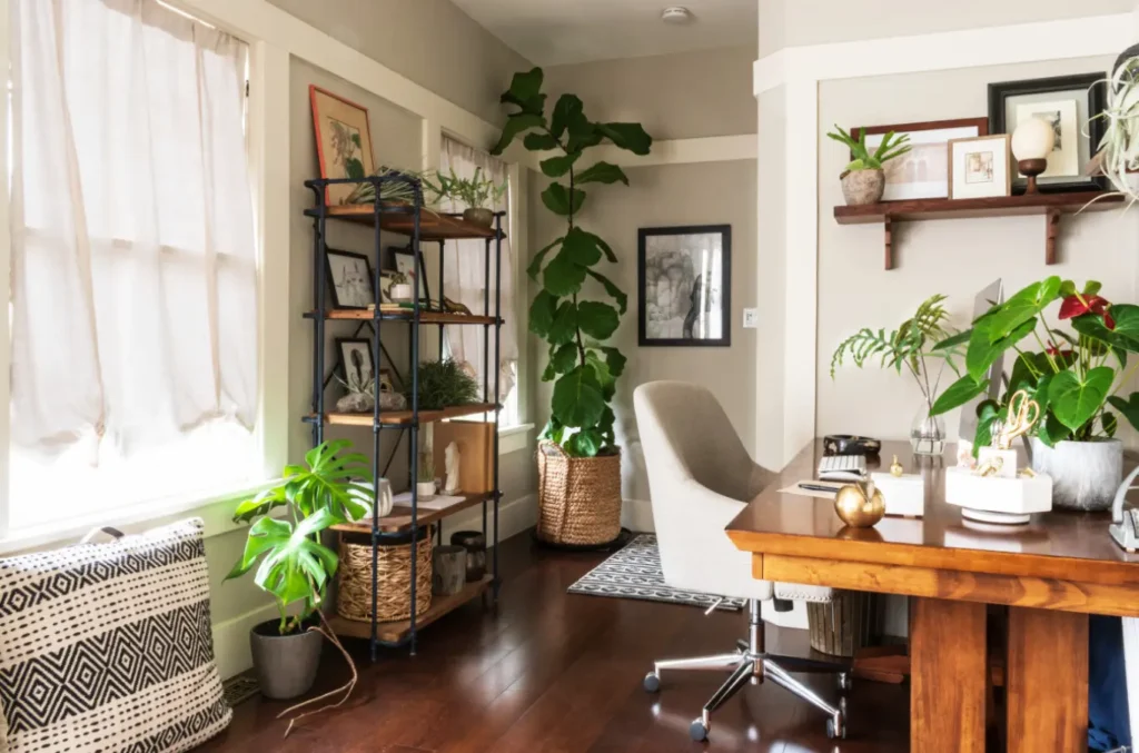 Green Home Decore Inspo